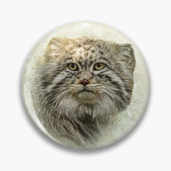 Item preview, Manul-Pallas's cat designed and sold by Guardi71.