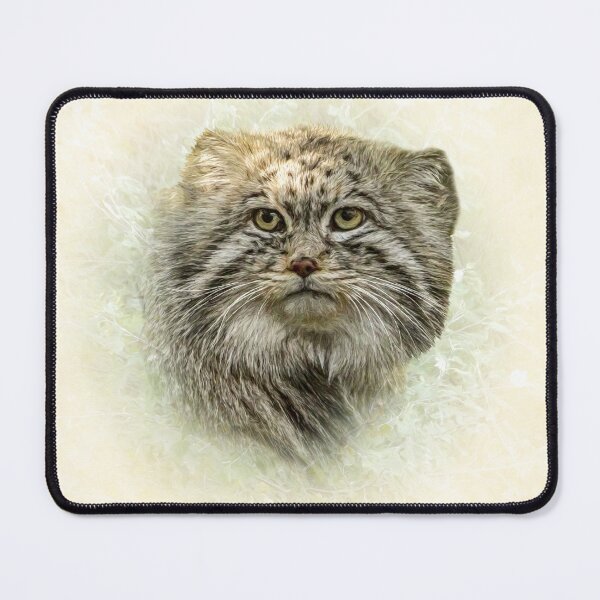 Item preview, Manul-Pallas's cat designed and sold by Guardi71.