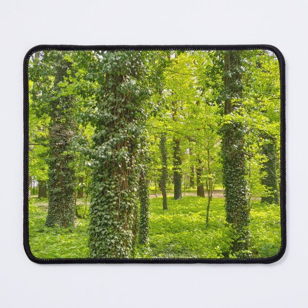 Item preview, Beauty of spring nature designed and sold by lusiakotowska.