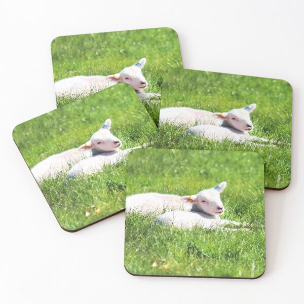 Item preview, Sunny side up designed and sold by Wildlifespotter.