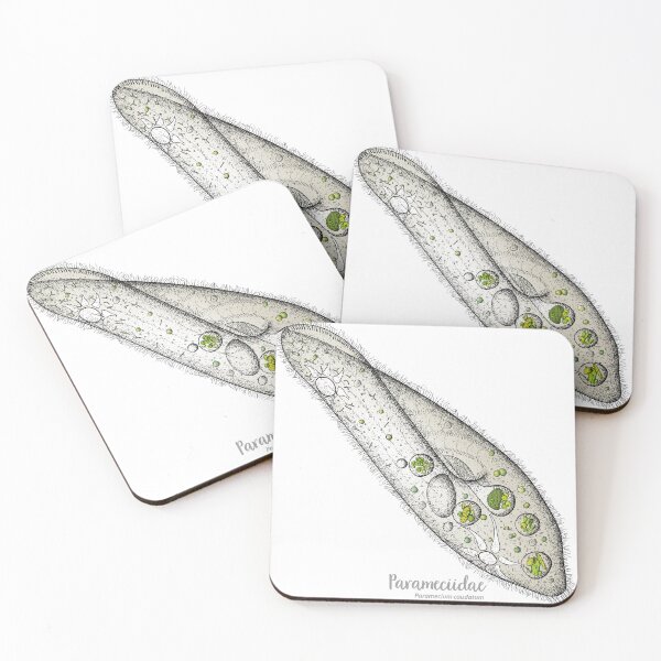 Item preview, Paramecium caudatum designed and sold by elgat76.