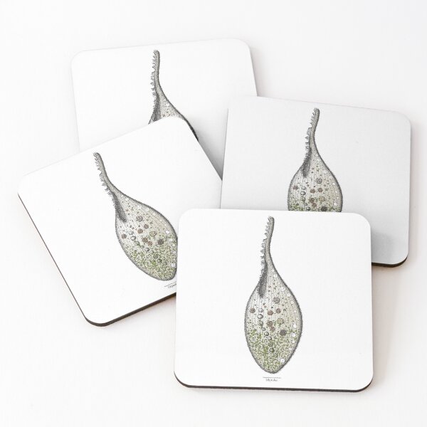Item preview, Pelagodileptus trachelioides designed and sold by elgat76.