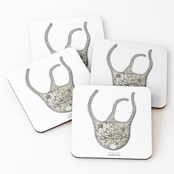 Item preview, Teuthophrys trisulca designed and sold by elgat76.