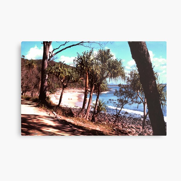 Noosa Beach Wall Art Redbubble