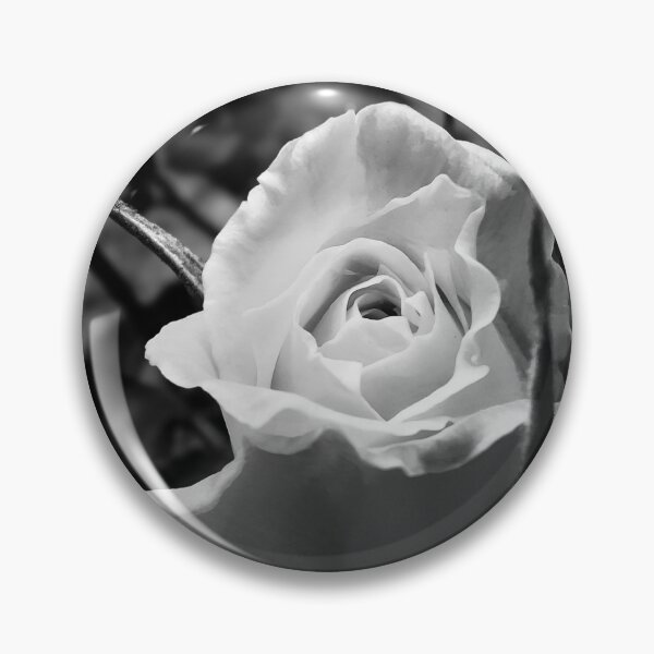 Item preview, Dramatic vignette of rose designed and sold by ArtfulThoughts.