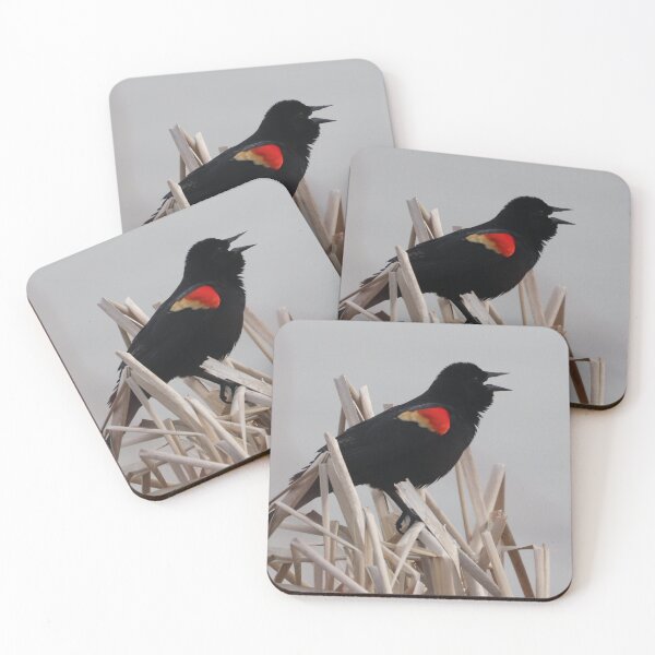 Item preview, Singing Red-Winged Blackbird designed and sold by Judy Geller.
