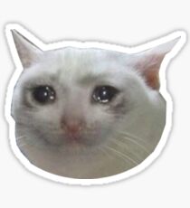 crying cat . jpg Sticker
