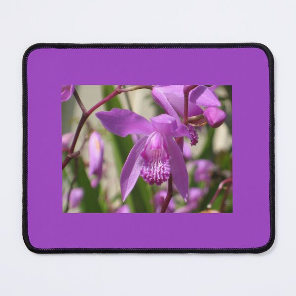 Item preview, Glittering Purple and White Orchid-Like Garden Flower designed and sold by JoyousArt4u.