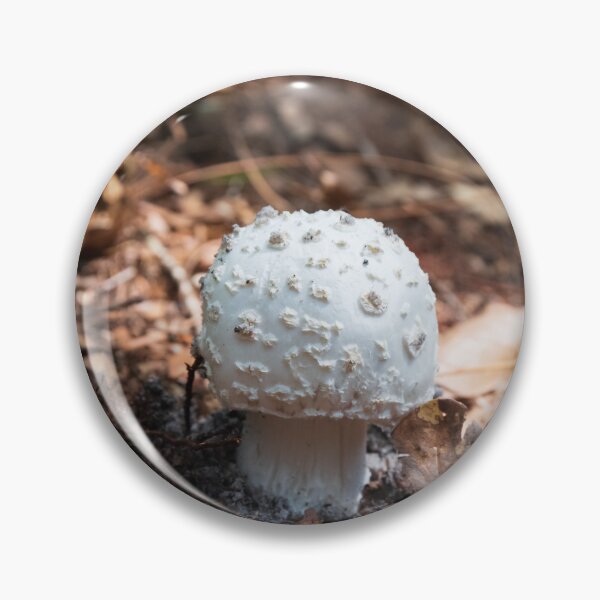 Item preview, Amanita designed and sold by InhumanImaging.