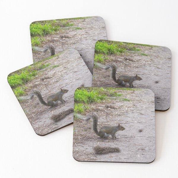 Item preview, Swamp Squirrel  designed and sold by InhumanImaging.