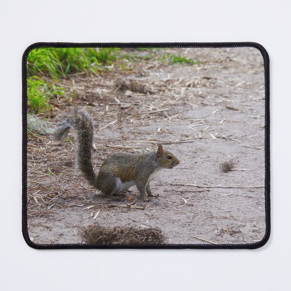 Item preview, Swamp Squirrel  designed and sold by InhumanImaging.