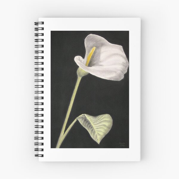 Aperçu de l'œuvre Calla Lily créée et vendue par Angelamloder.