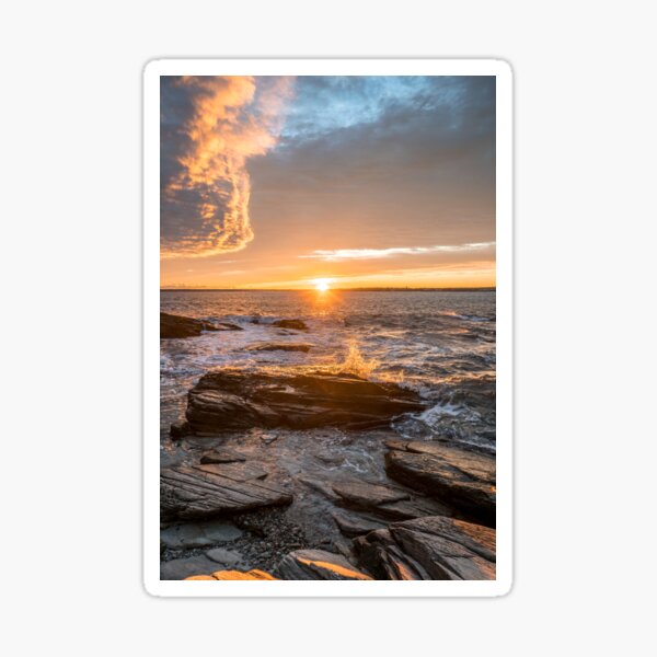 Beavertail Sticker