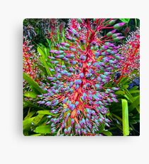 Tropical Flowers Canvas Print