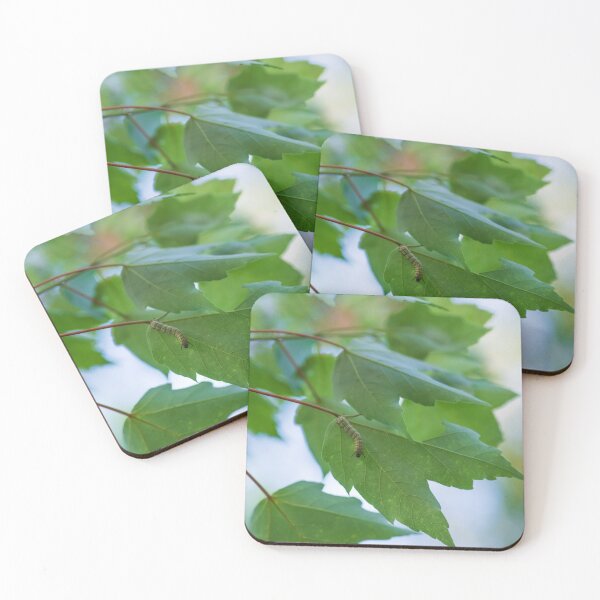 Item preview, Oruga 1 designed and sold by InhumanImaging.
