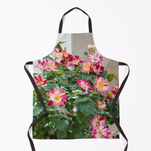 Item preview, Varicolored Climbing Roses designed and sold by Georgia Mizuleva.
