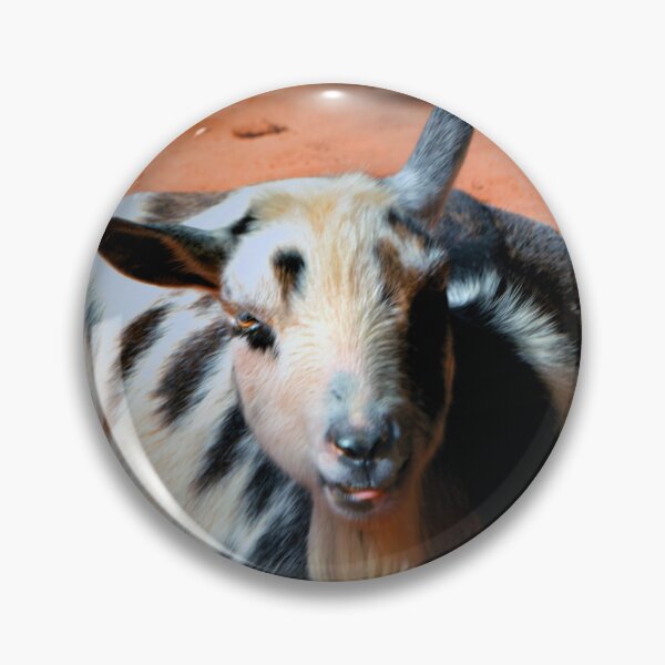 Item preview, Goat designed and sold by Savannah Gibbs.