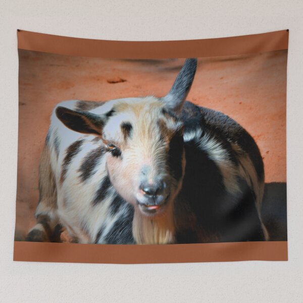 Item preview, Goat designed and sold by Savannah Gibbs.