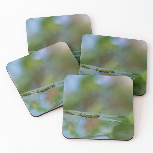 Item preview, Oruga 2 designed and sold by InhumanImaging.
