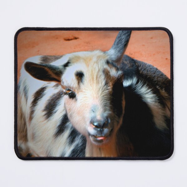 Item preview, Goat designed and sold by Savannah Gibbs.