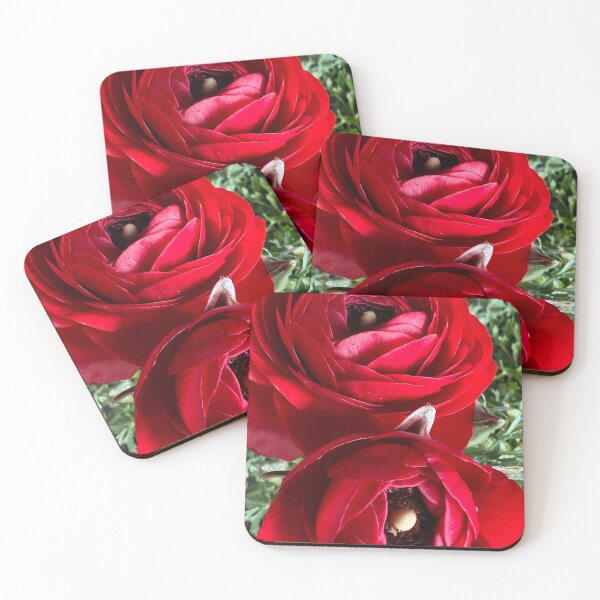 Item preview, Red Ranunculus Asiaticus designed and sold by Betsy Phillips.