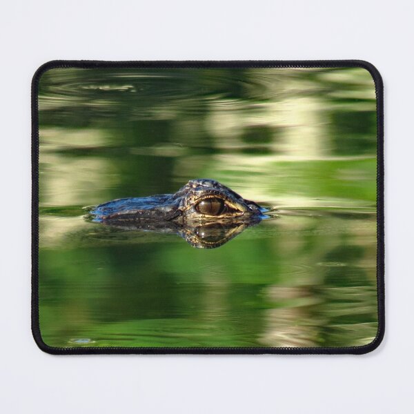 Item preview, Alligator Under Water designed and sold by supernova23.