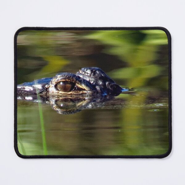 Item preview, Alligator Under Water designed and sold by supernova23.