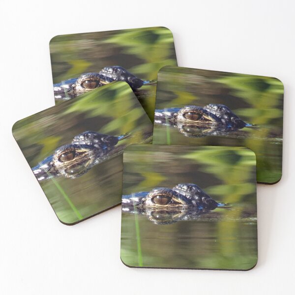 Item preview, Alligator Under Water designed and sold by supernova23.