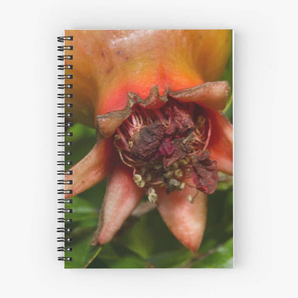 Item preview, Spiral Notebook designed and sold by Magda Labuda.