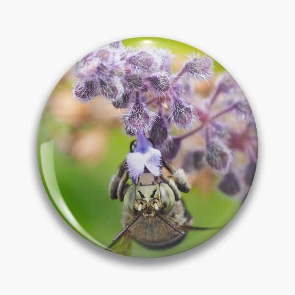 Item preview, Nectaring Amegilla designed and sold by BeeBabette.