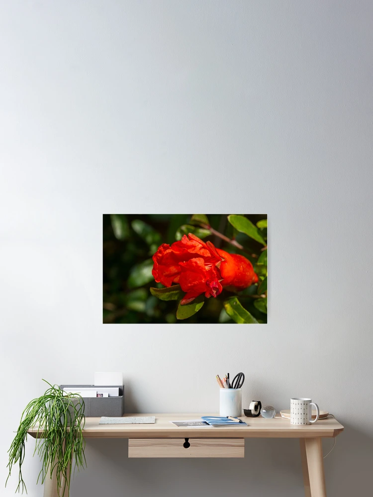 Thumbnail 2 of 3, Poster, designed and sold by Magda Labuda.