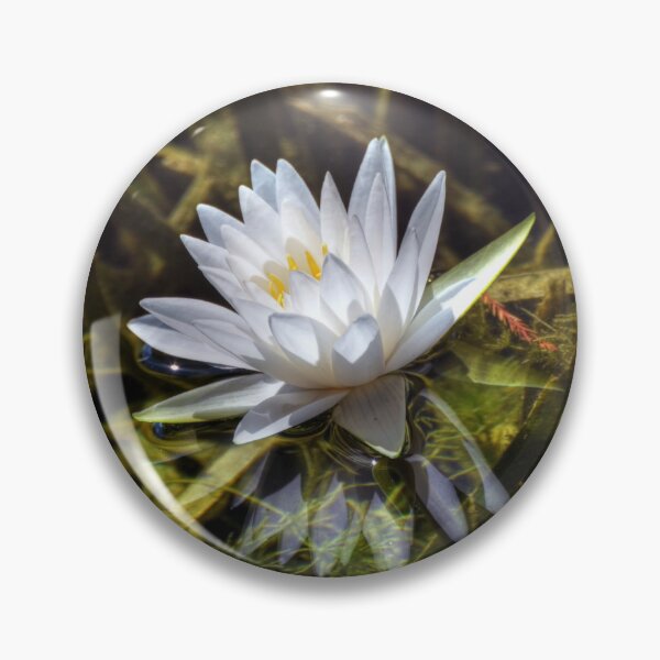 Item preview, Water Lily designed and sold by Savannah Gibbs.