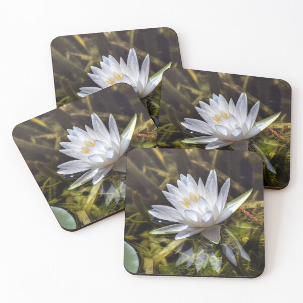 Item preview, Water Lily designed and sold by Savannah Gibbs.