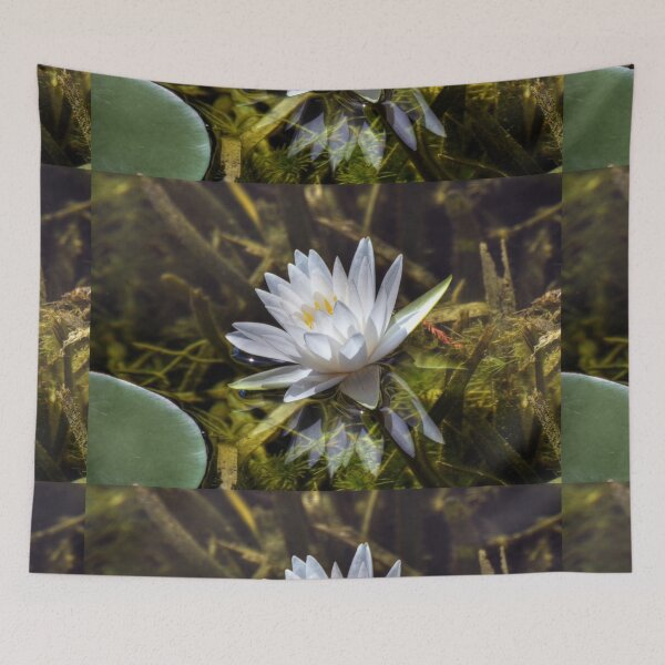 Item preview, Water Lily designed and sold by Savannah Gibbs.