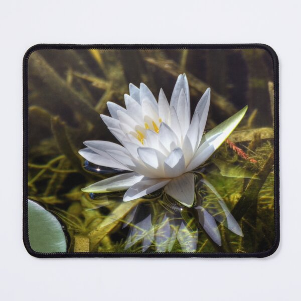 Item preview, Water Lily designed and sold by Savannah Gibbs.