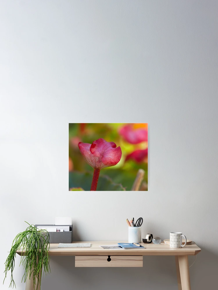 Thumbnail 2 of 3, Poster, designed and sold by Magda Labuda.