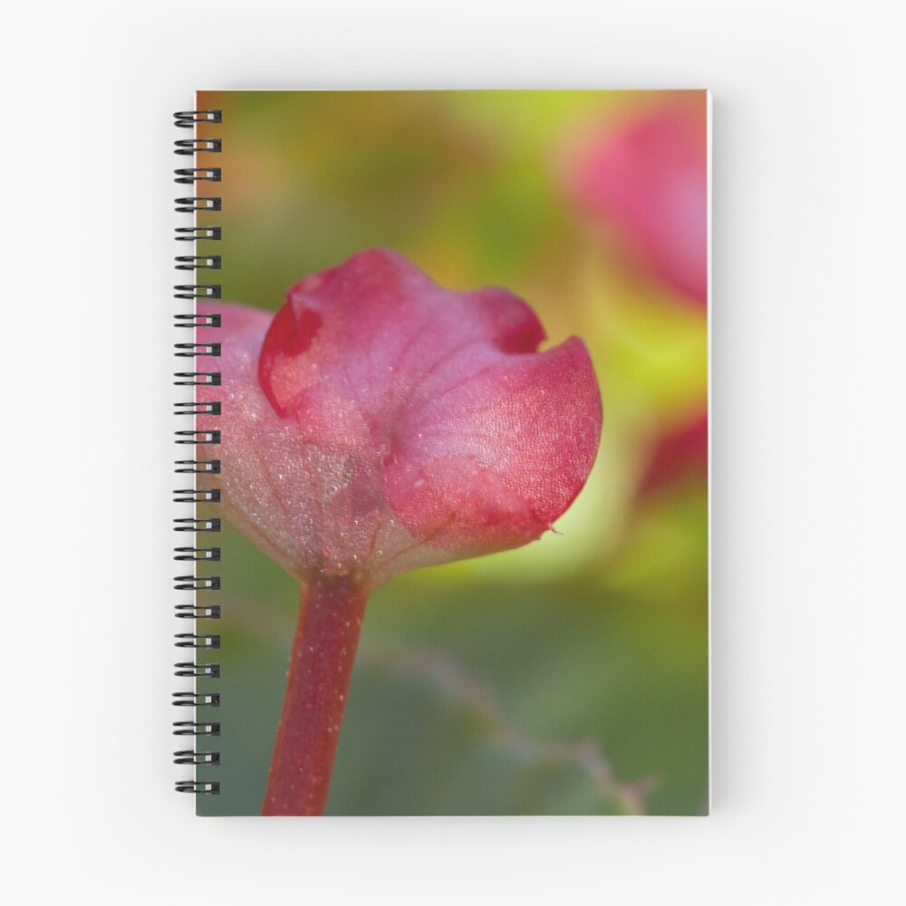 Item preview, Spiral Notebook designed and sold by Magda Labuda.