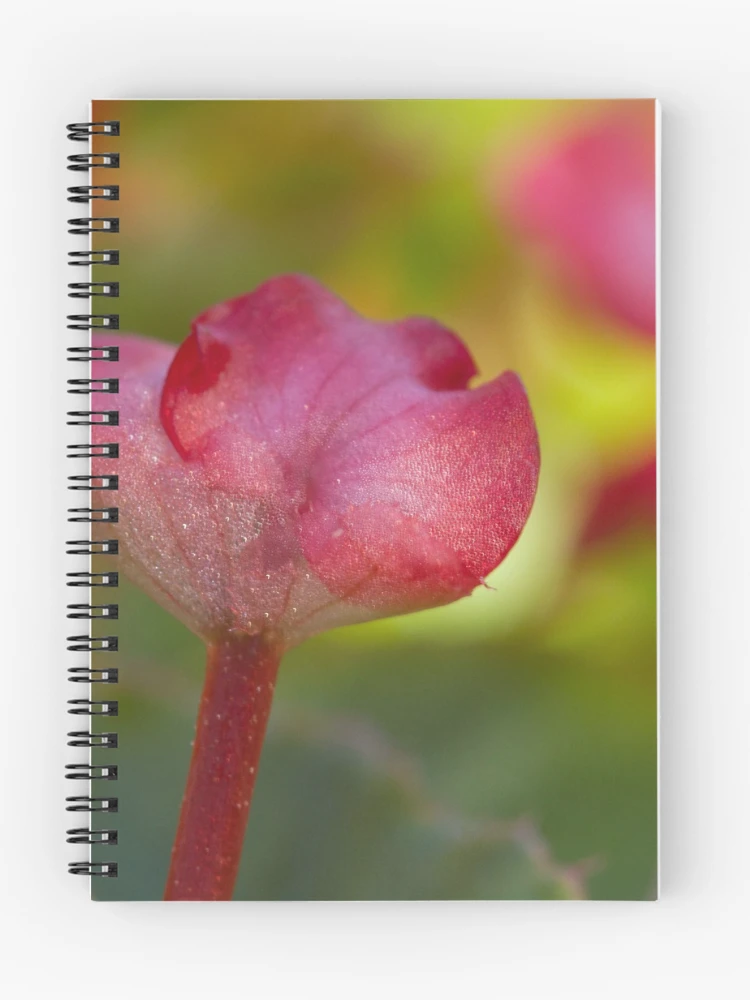 Thumbnail 1 of 3, Journal, designed and sold by Magda Labuda.