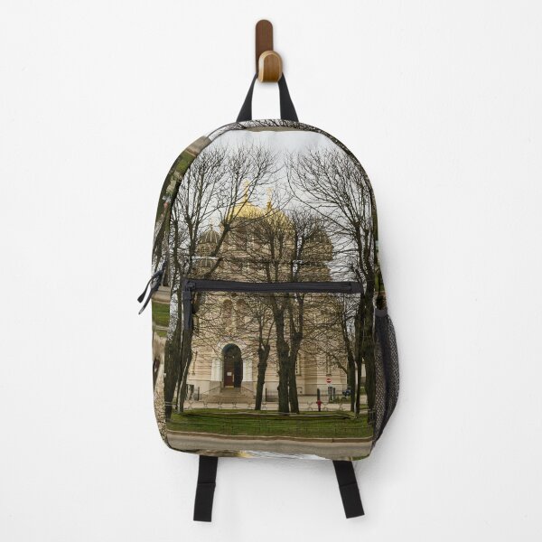 Item preview, Black trees and Nativity Of Christ Cathedral. Riga 2024 designed and sold by Jouko Lehto Photography.