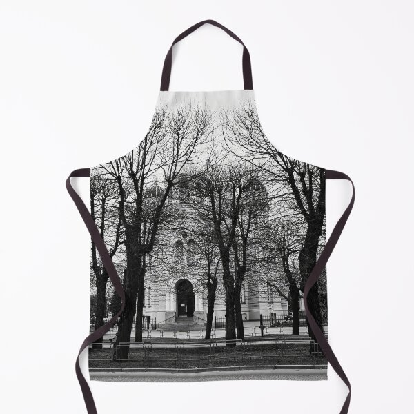Item preview, Black trees and Nativity Of Christ Cathedral. Riga 2024 bw designed and sold by Jouko Lehto Photography.