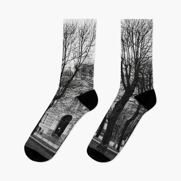 Item preview, Black trees and Nativity Of Christ Cathedral. Riga 2024 bw designed and sold by Jouko Lehto Photography.