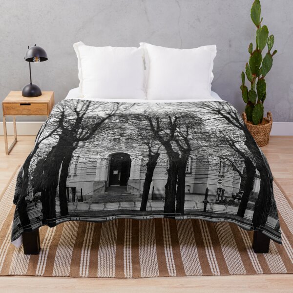 Item preview, Black trees and Nativity Of Christ Cathedral. Riga 2024 bw designed and sold by Jouko Lehto Photography.