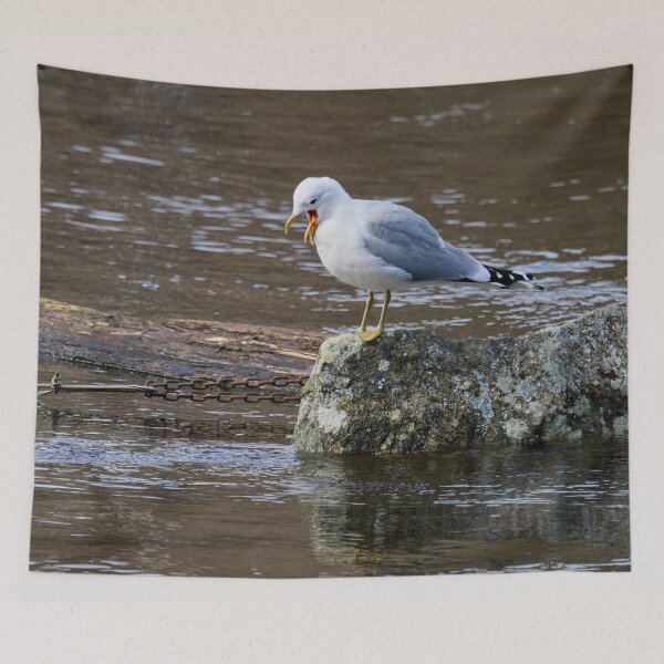 Item preview, I hate fish. Sea mew designed and sold by Jouko Lehto Photography.
