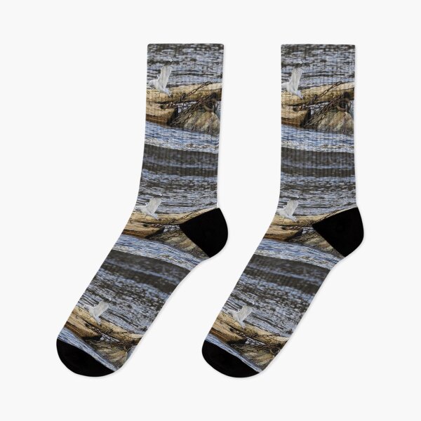 Item preview, Kick off time. Sea mew designed and sold by Jouko Lehto Photography.