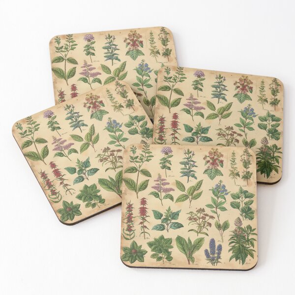 Item preview, Herbal Compendium Vintage Page designed and sold by palmyst.