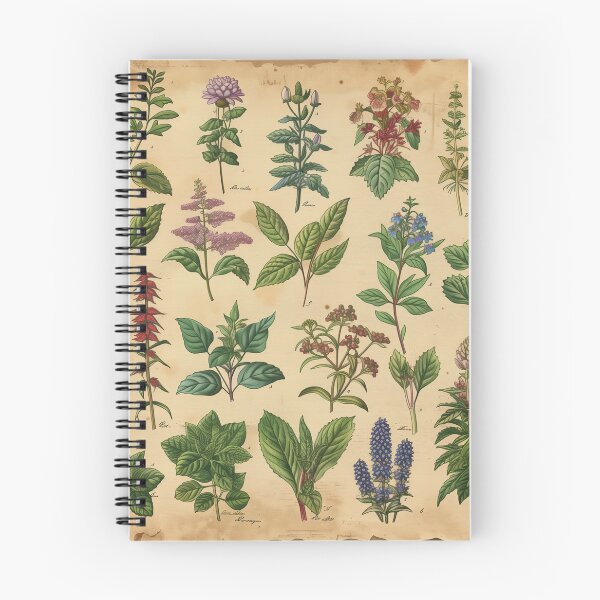 Item preview, Herbal Compendium Vintage Page designed and sold by palmyst.