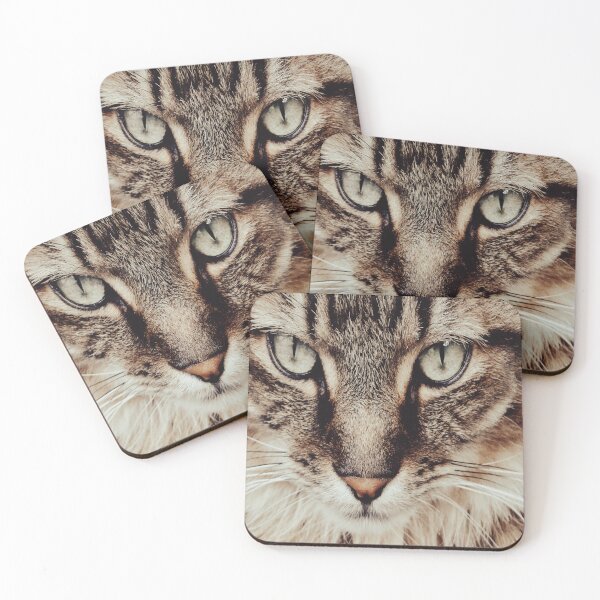 Item preview, I'm Not Bossy, I Just Know What You Should Be Doing | Vintage Bossy Cat designed and sold by BossyCatHome.
