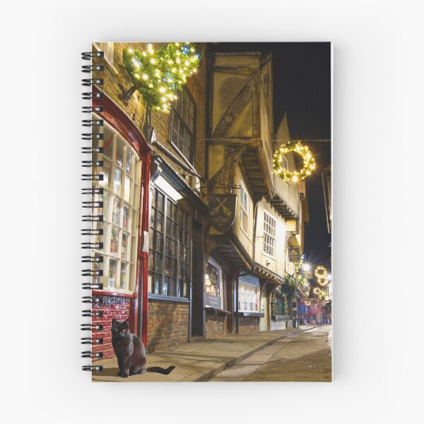Item preview, York Shambles Cat designed and sold by Alisonchambers2.