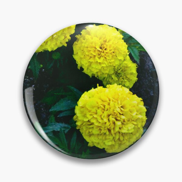 Item preview, Marigolds  designed and sold by MercerImages.