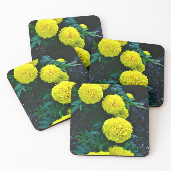 Item preview, Marigolds  designed and sold by MercerImages.